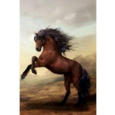 Şahlanan At Desenli Dijital Baskılı Halı