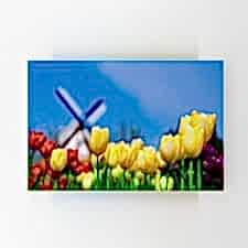 Tarlada Laleler Tablosu