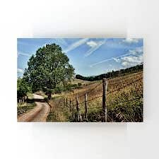 Baharda Patika Tablosu