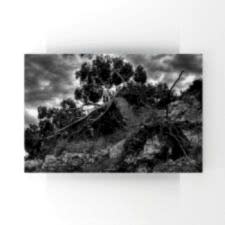 Siyah Beyaz Yıkılan Ağaç Tablosu