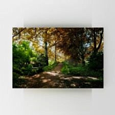 Sonbaharda Orman Manzarası Tablosu