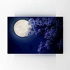 Ay Işığında Kiraz Çiçeği Tablosu