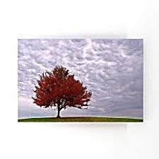 Tepedeki Kırmızı Yapraklı Ağaç Tablosu