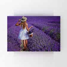 Lavanta Toplayan Kız Tablosu