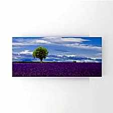 Lavanta Bahçesi Tablosu