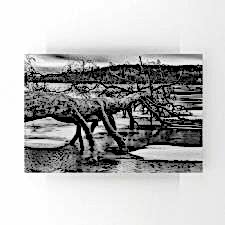 Siyah Beyaz Göldeki Ağaç Tablosu