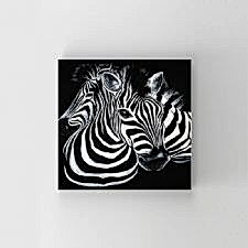 Zebra İllustrasyonu Tablosu