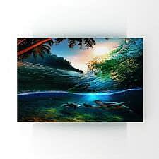 Denizde Karetta Karettaların Dansı Tablosu