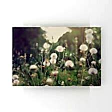 Kırdaki Çiçekler Tablosu