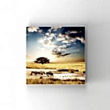 Su İçen Zebralar Tablosu