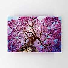 Pembe Lapaku Ağacı Tablosu