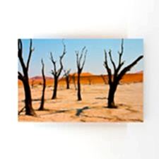 Çöldeki Ağaçlar Tablosu 