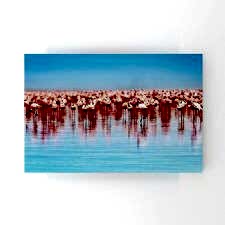 Su İçinde Flamingolar Tablosu
