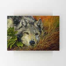 Otlar İçinde Yatan Yalnız Kurt Tablosu