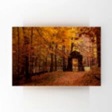 Sonbaharda Orman Manzarası Tablosu