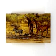 Su Kenarında Su İçen Zürafalar Tablosu