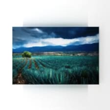 Tarlada Mavi Ekinlerin Dansı Tablosu