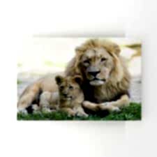 Baba ve Oğul Aslan Tablosu