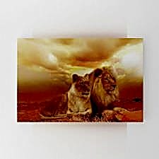 Gün Batımındaki Dişi ve Erkek Aslan Tablosu