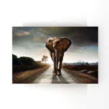 Orman Yolunda Yürüyen Yalnız Fil Tablosu