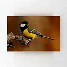 Daldaki Kuş Tablosu