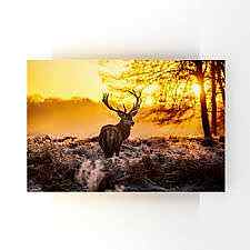 Orman İçinde Geyik Tablosu