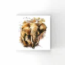 Fil İllustrasyonu Tablosu