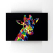 Zürafa İllustrasyonu Tablosu