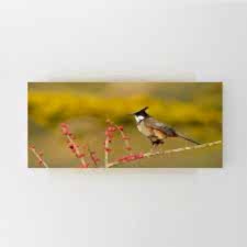 Çiçekli Kuş Tablosu