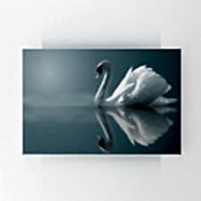 Su Üstünde Zerafet 