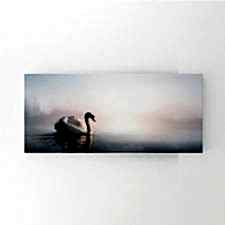 Göl Üzerindeki Zerafet Tablosu