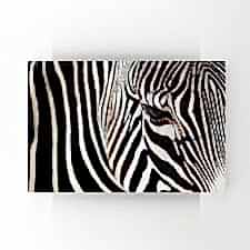 Kesit Zebra Tablosu