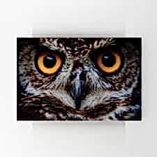 Keskin Bakışlı Baykuş Tablosu