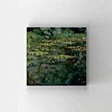 Claude Monet - Bassin Des Nympheas Tablosu