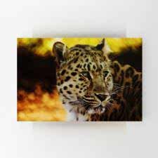 Kruger Çita Tablosu