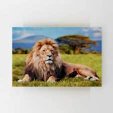 Afrika Aslanı Tablosu