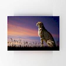 Gün Batımında Oturan Çita Tablosu 