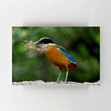 Yuvasına Kuru Ot Taşıyan Renkli Kuş Tablosu