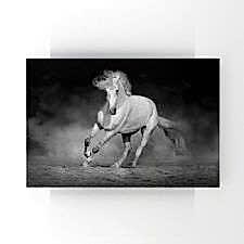 Siyah Beyaz Özgür Ruh Tablosu