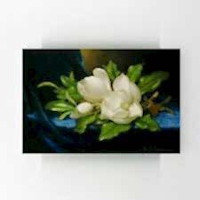 Martin Johnson Heade - Giant Magnolias on a Blue Velvet Cloth Tablosu