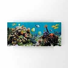 Mercan Kayalığı Tablosu