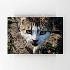 Keskin Bakışlı Yeşil Gözlü KEdi Tablosu