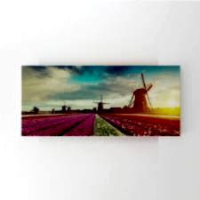 Hollanda Nederlands Çiçek Tarlası Tablosu