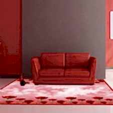 Gül Desenli Dijital Baskılı Halı