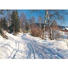 Peder Mork Monsted - Sunlit Winter Landscape Tablosu