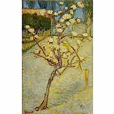 Vincent Van Gogh - Pear Tree in Blossom Tablosu