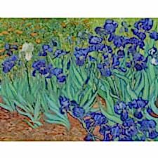 Vincent Van Gogh - İris Süsen Çiçeği Tablosu