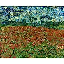 Vincent Van Gogh - Poppy Field Tablosu