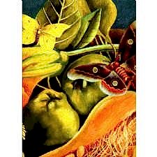 Frida Kahlo - Nature Morte Tablosu