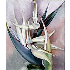 Georgia OKeeffe - White Bird of Paradise Tablosu
